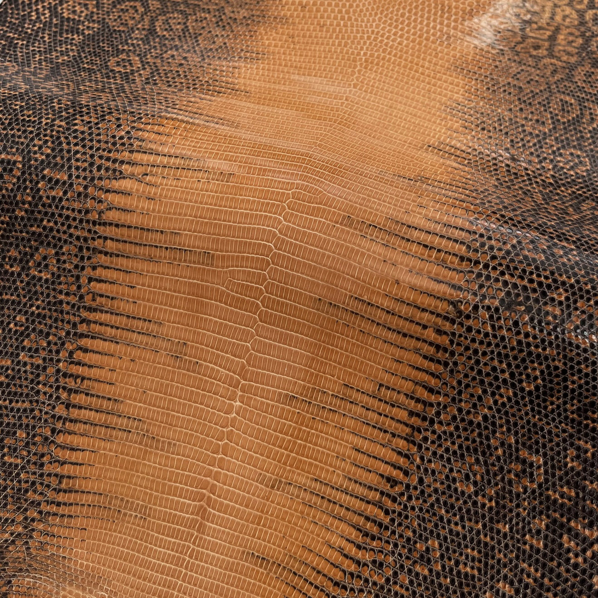 Lizard Skin | Peanut (Back Cut)