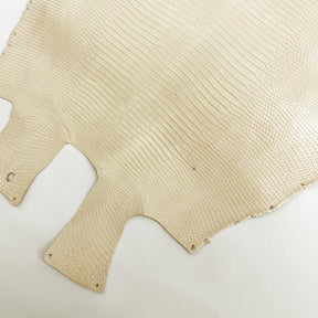 Lizard Skin | Bone (Back Cut)