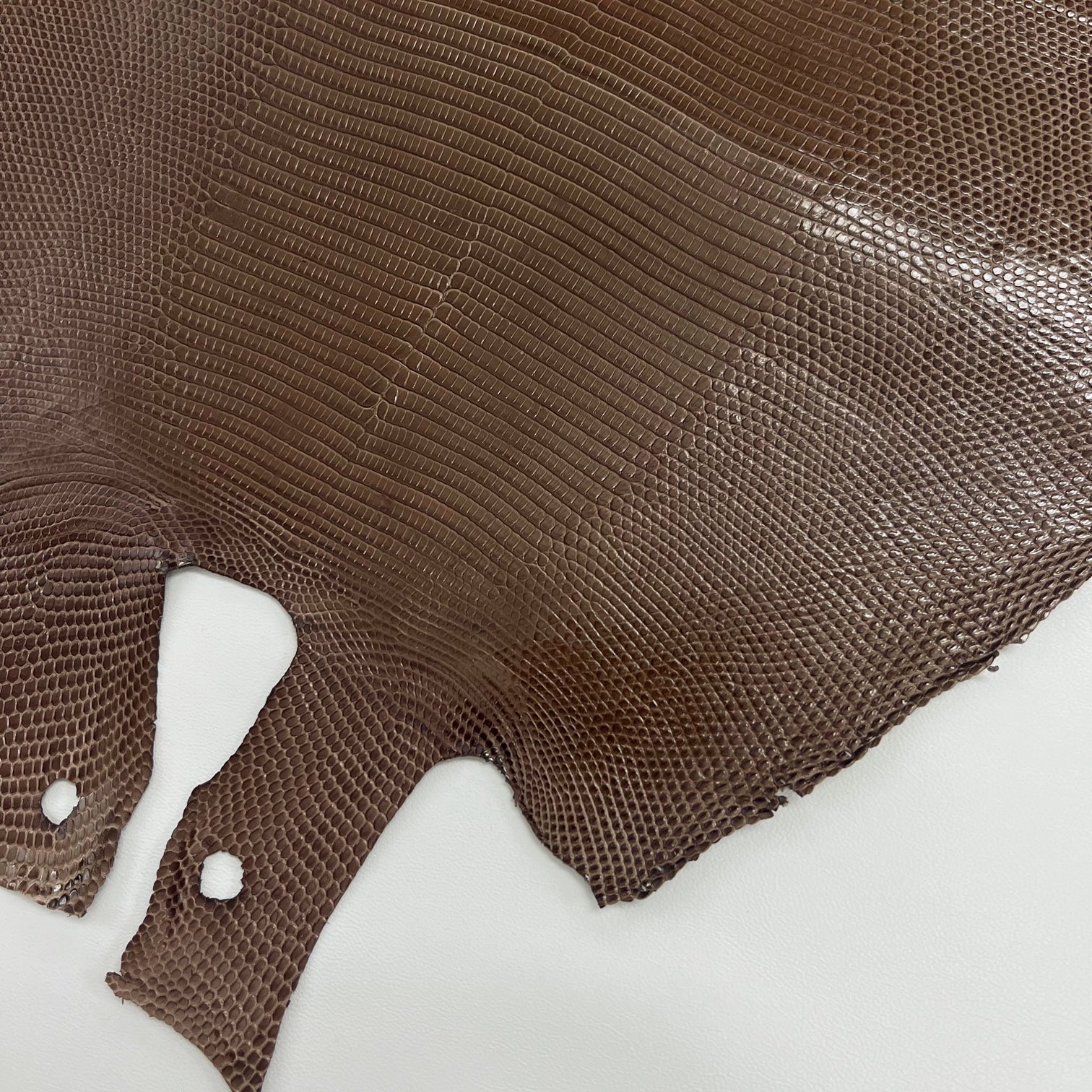 Lizard Skin | Dark Taupe (Back Cut)