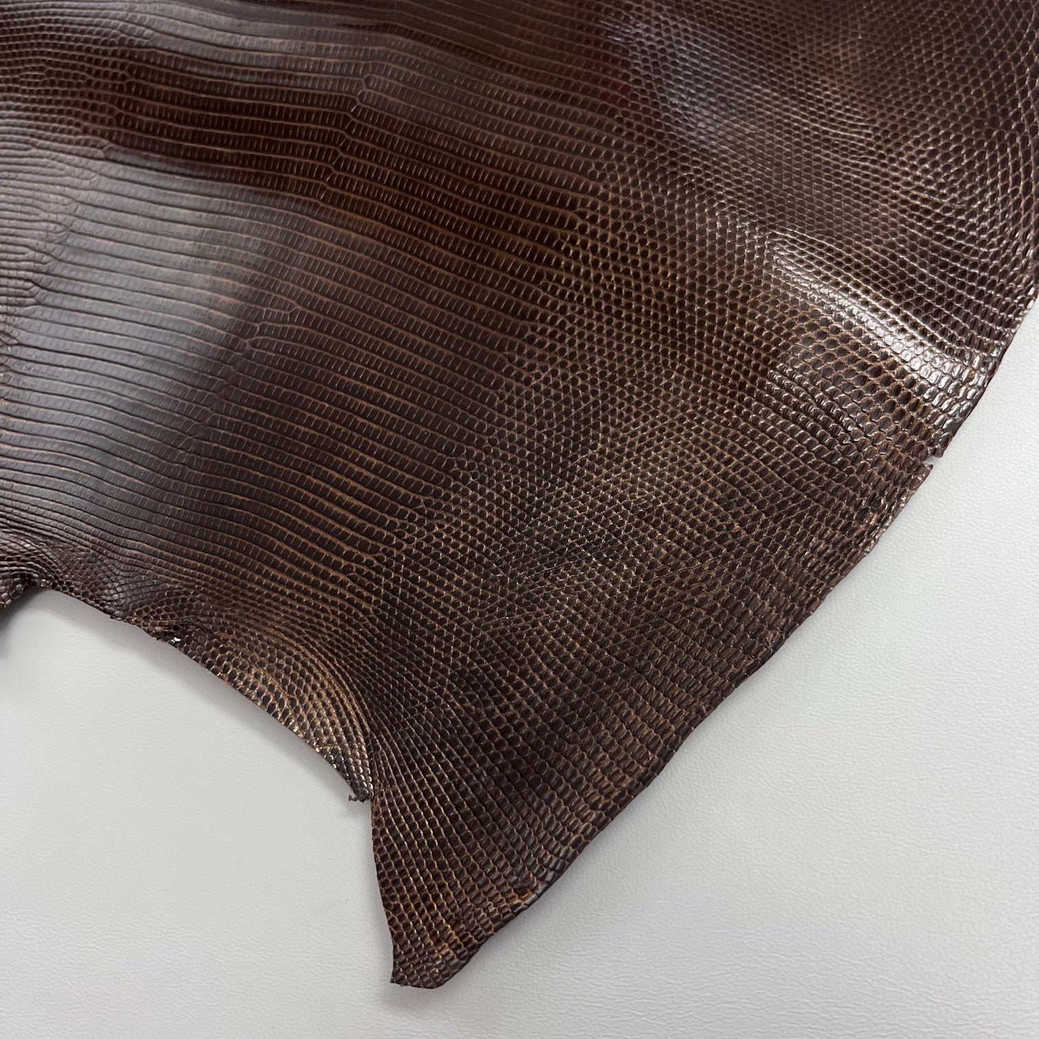 Lizard Skin | Chocolate Bronze (Back Cut)