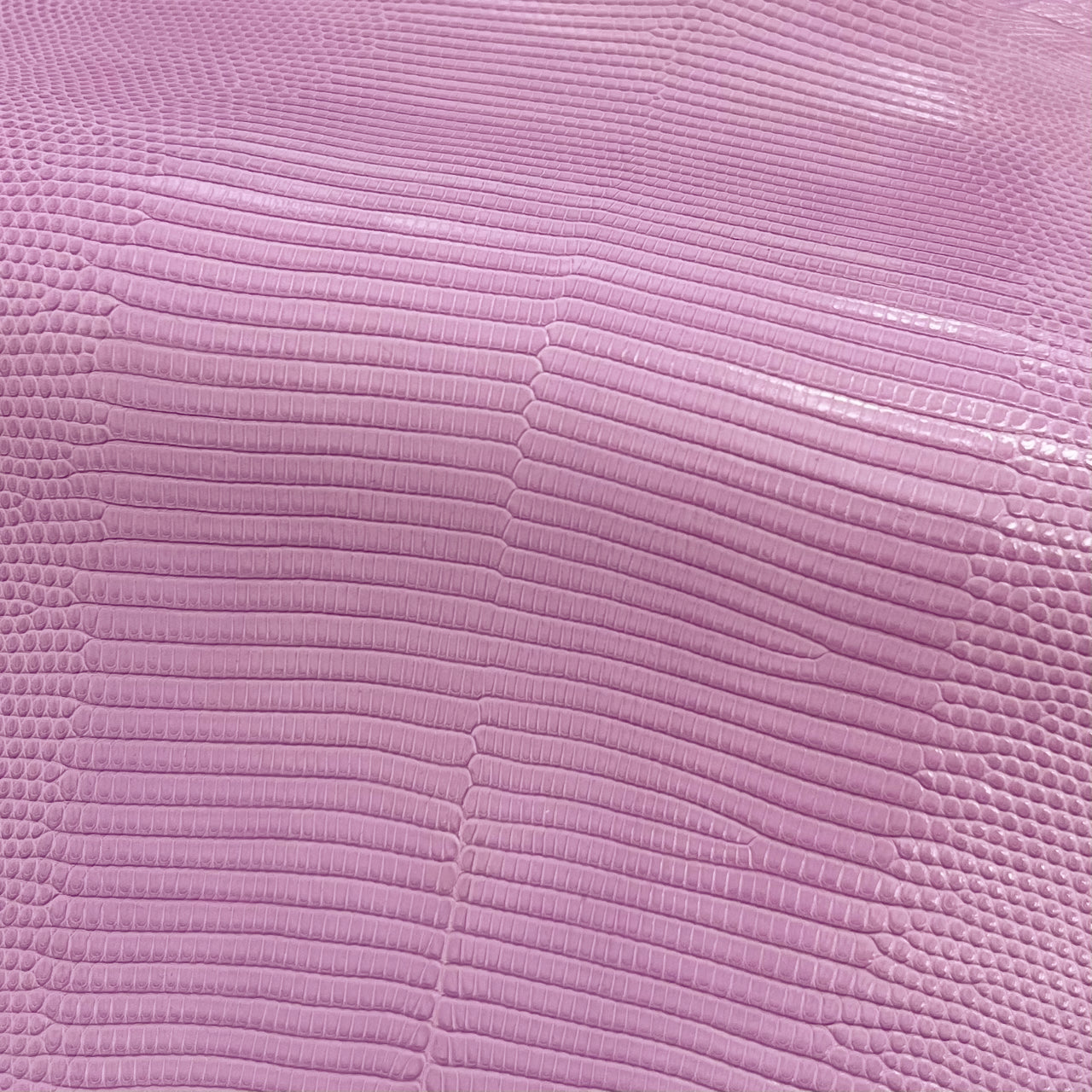 Lizard Skin | Lilac (Back Cut)