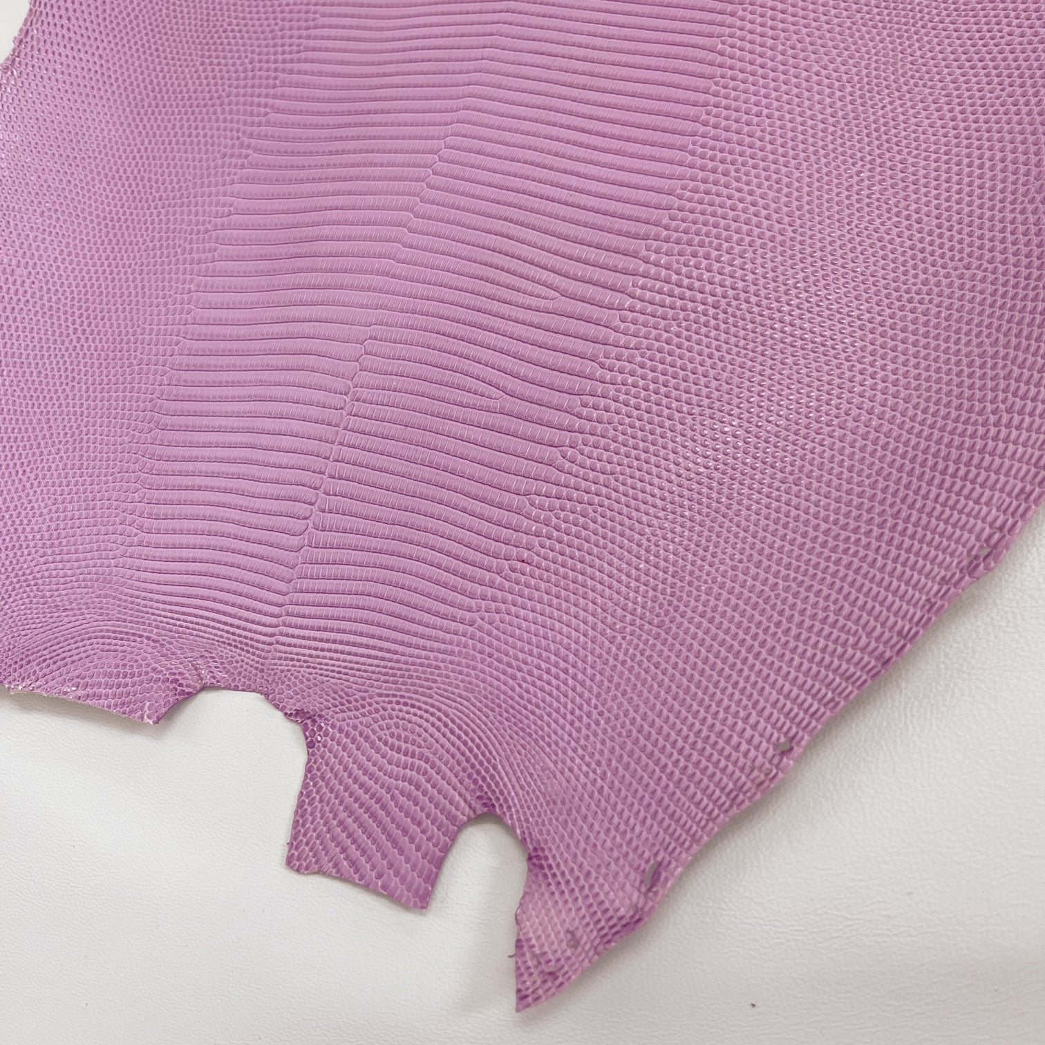 Lizard Skin | Lilac (Back Cut)