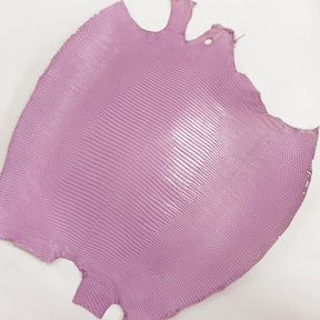 Lizard Skin | Lilac (Back Cut)