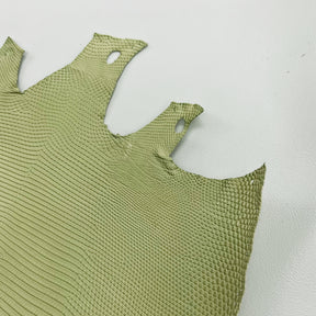 Lizard Skin | Beach net (Back Cut)