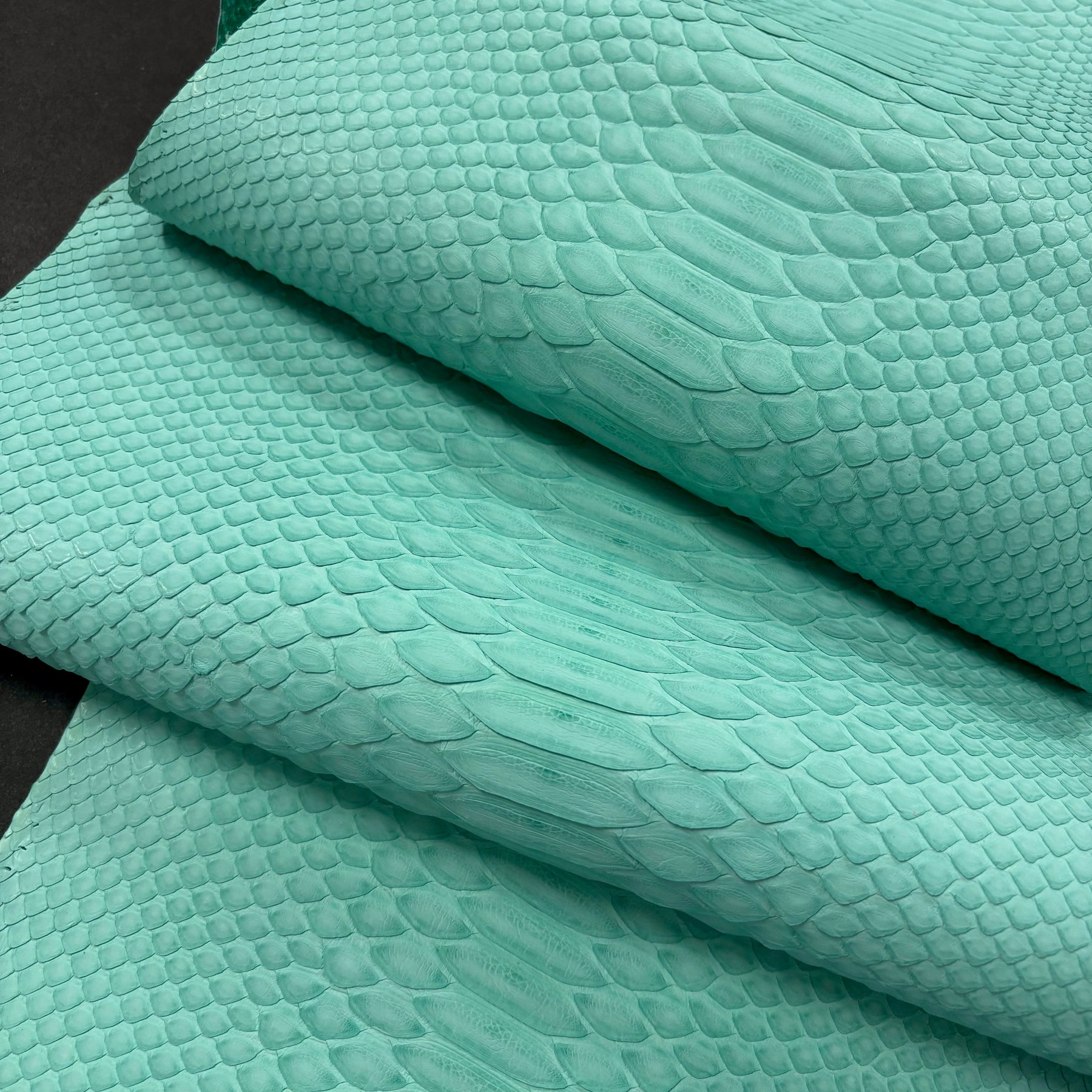 Python Matte | Mint | Short Tail Back Cut