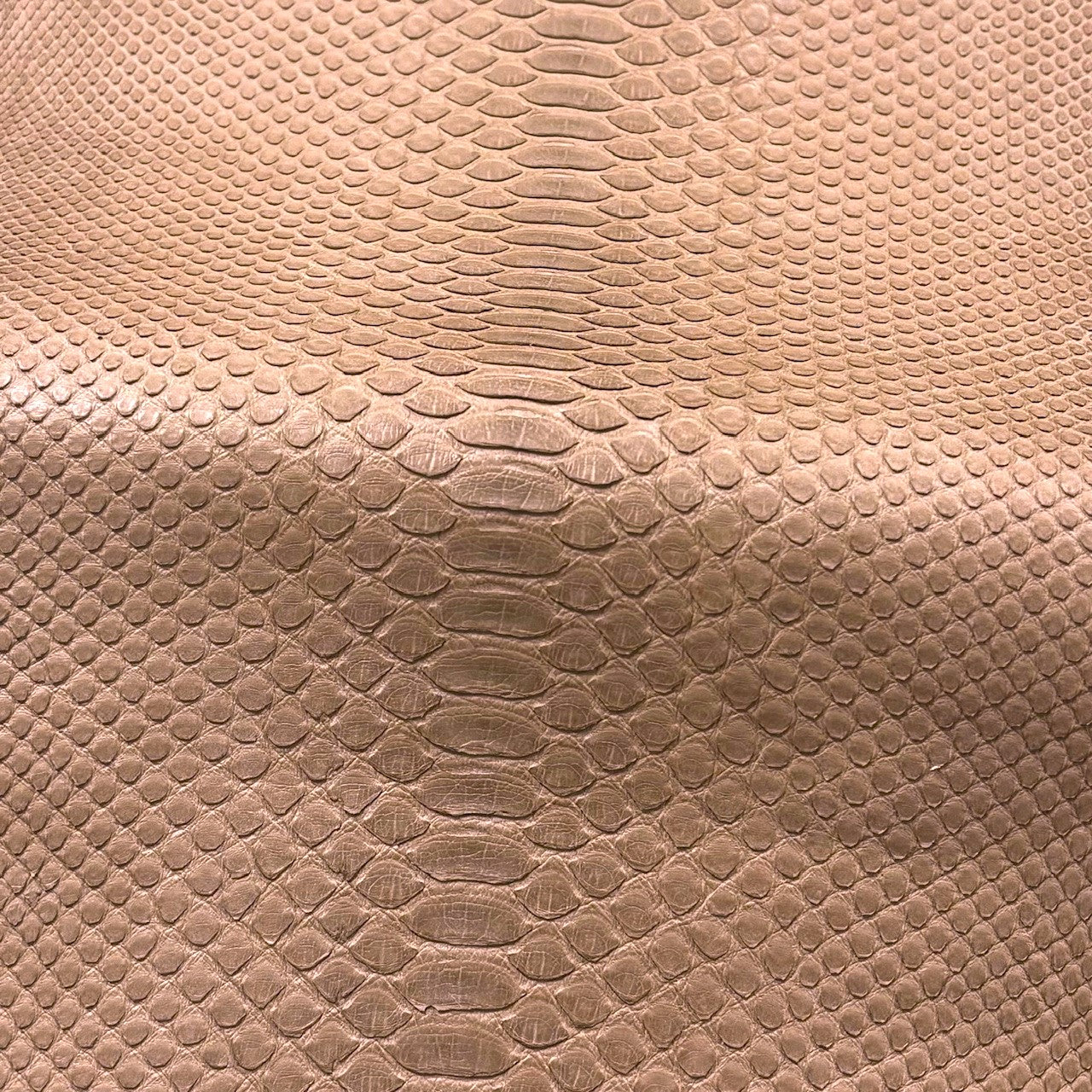 Python Matte | Taupe | Back Cut | 1.40 meters