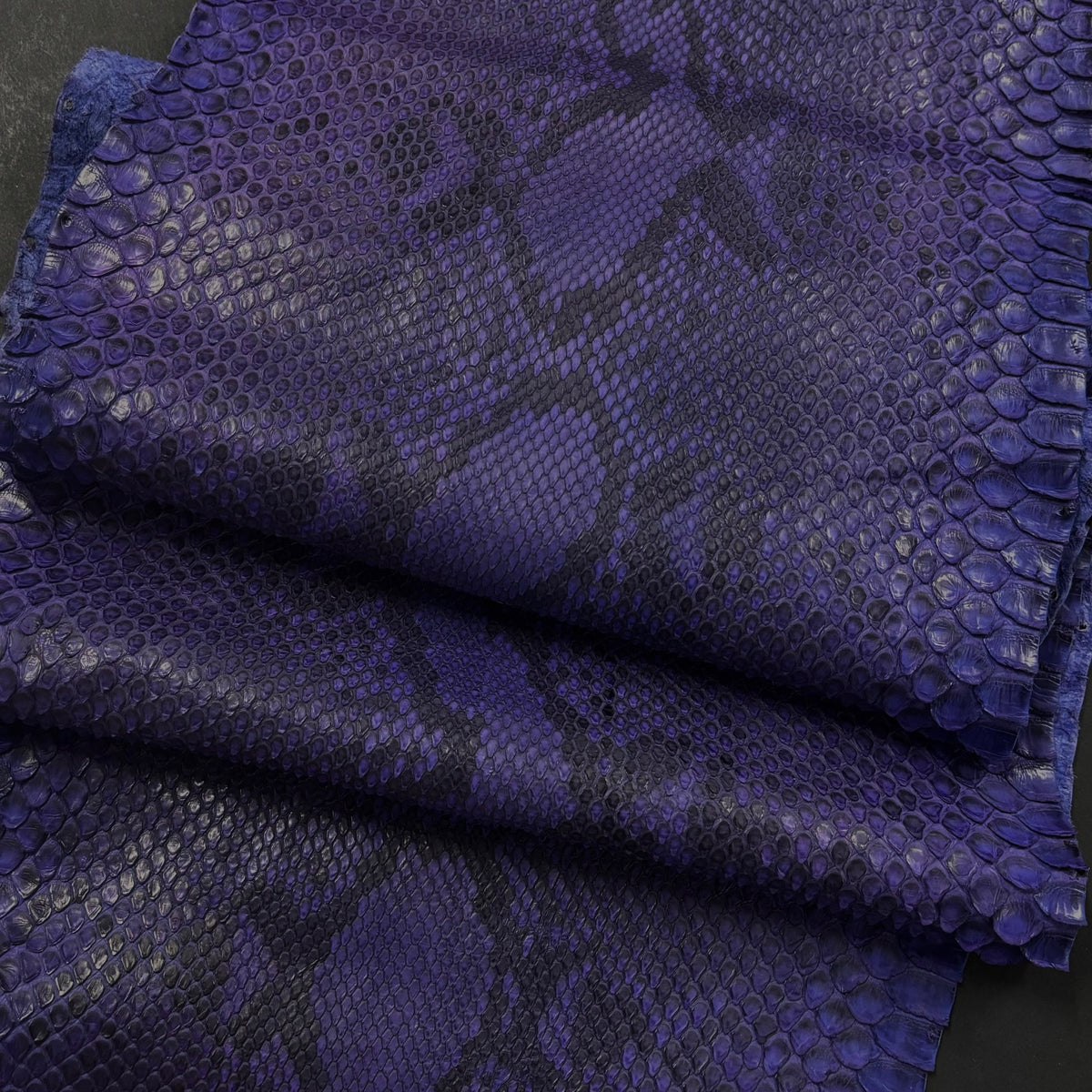 Python Matte | Eggplant | Front Cut Long Tail | Ships in 2 weeks