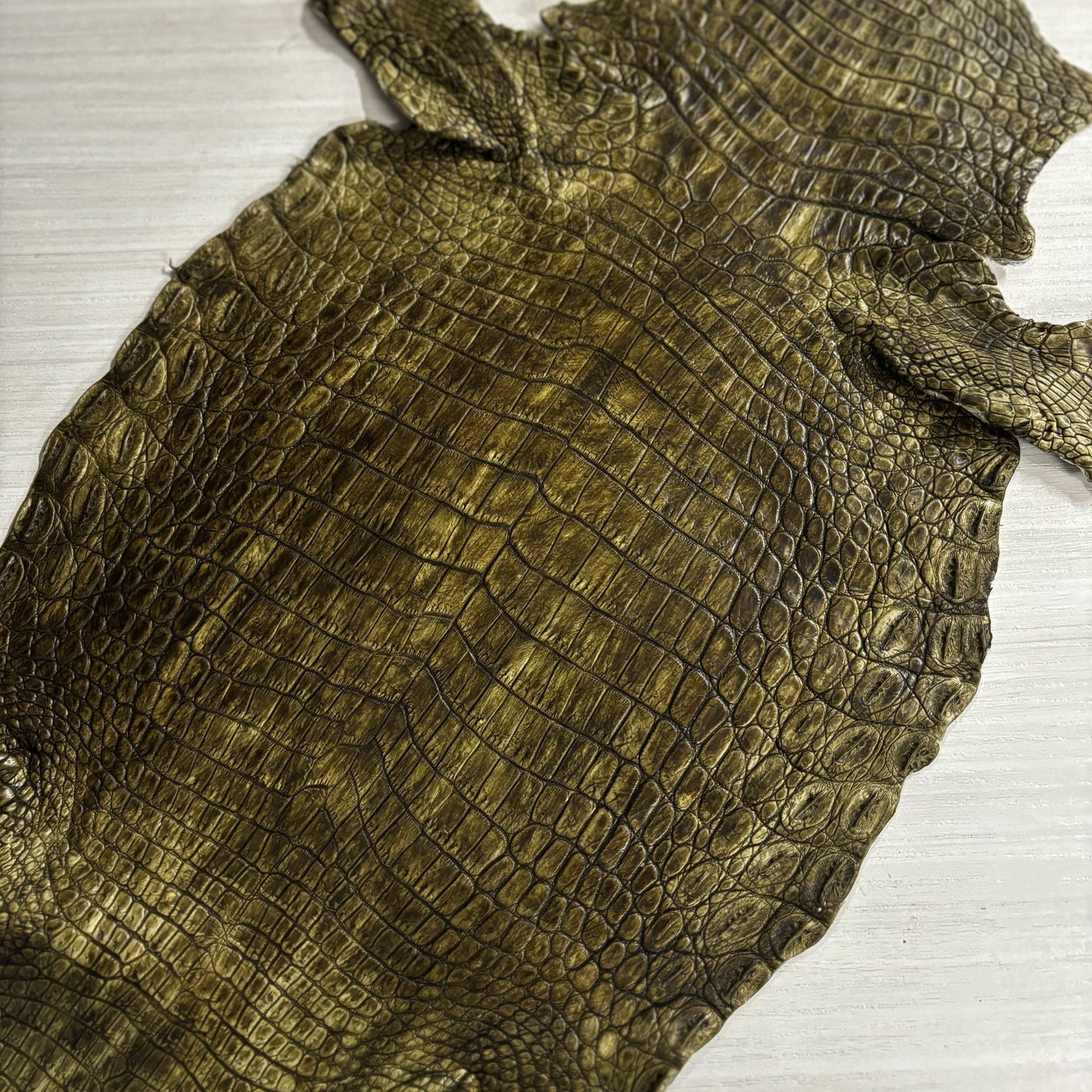 Hand-Painted Nile Crocodile #2 | 25 cm