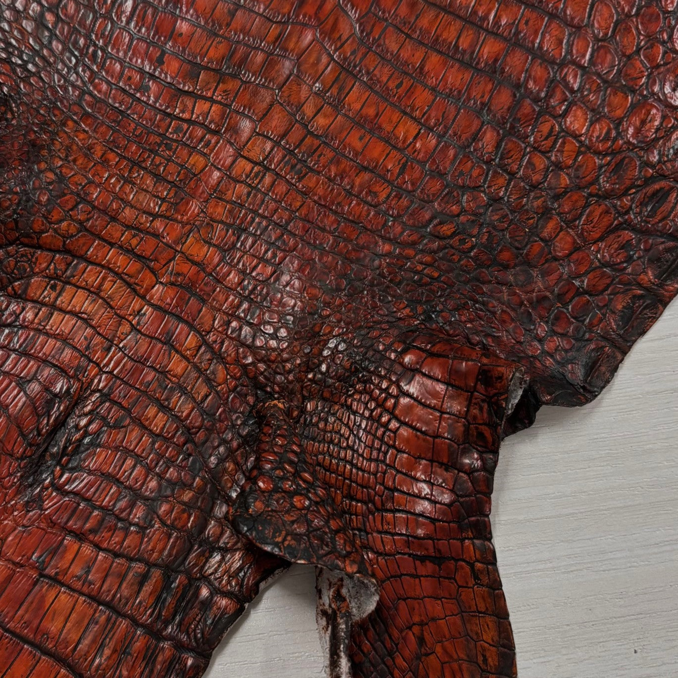 Hand-Painted Nile Crocodile #486 | 24 cm