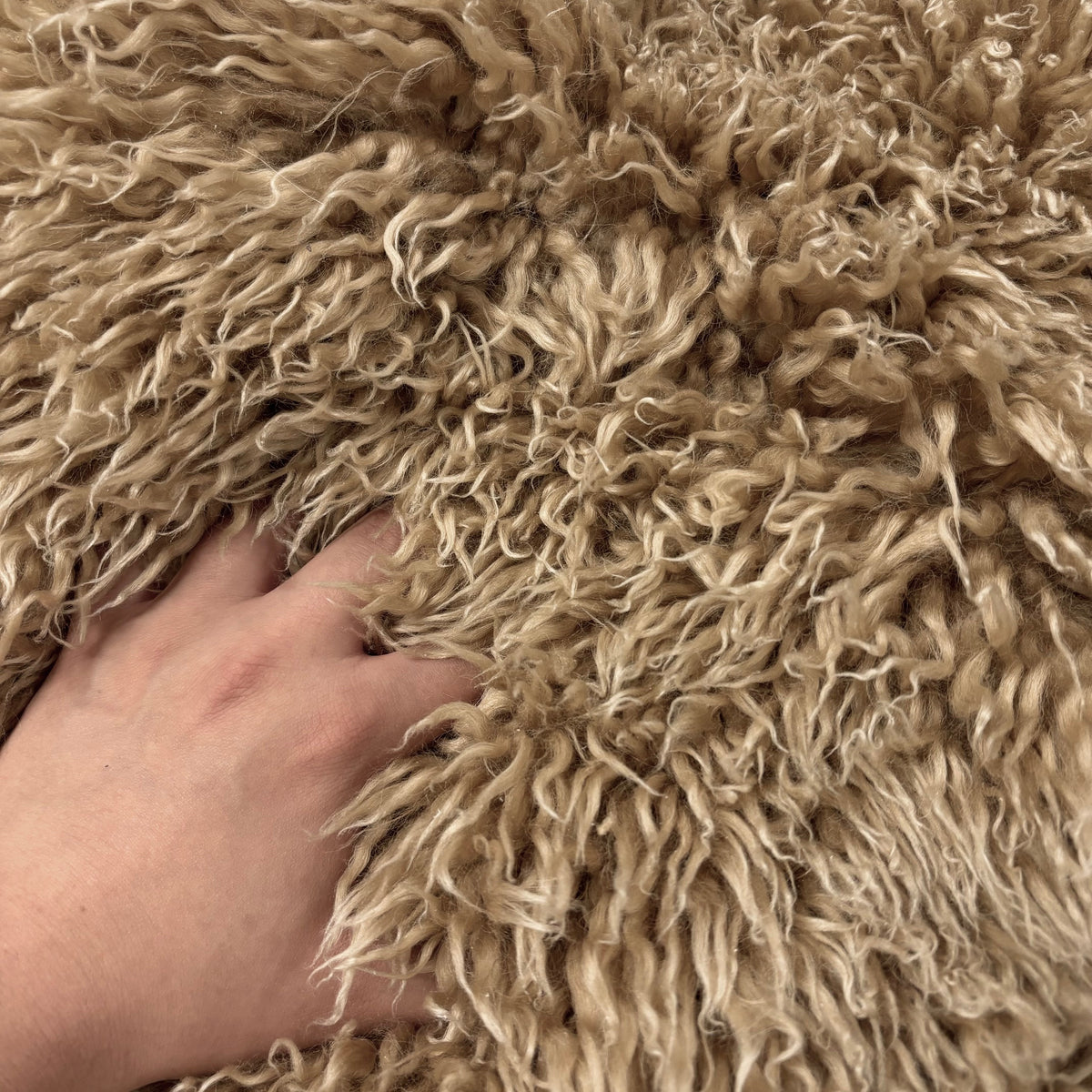 Skandilock Curly Longwool New Zealand | Ships in 2 weeks
