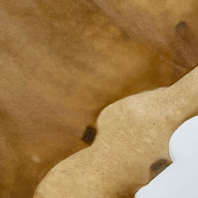 Italian Transparent Horse Leather | ONLY 10 HIDES LEFT!