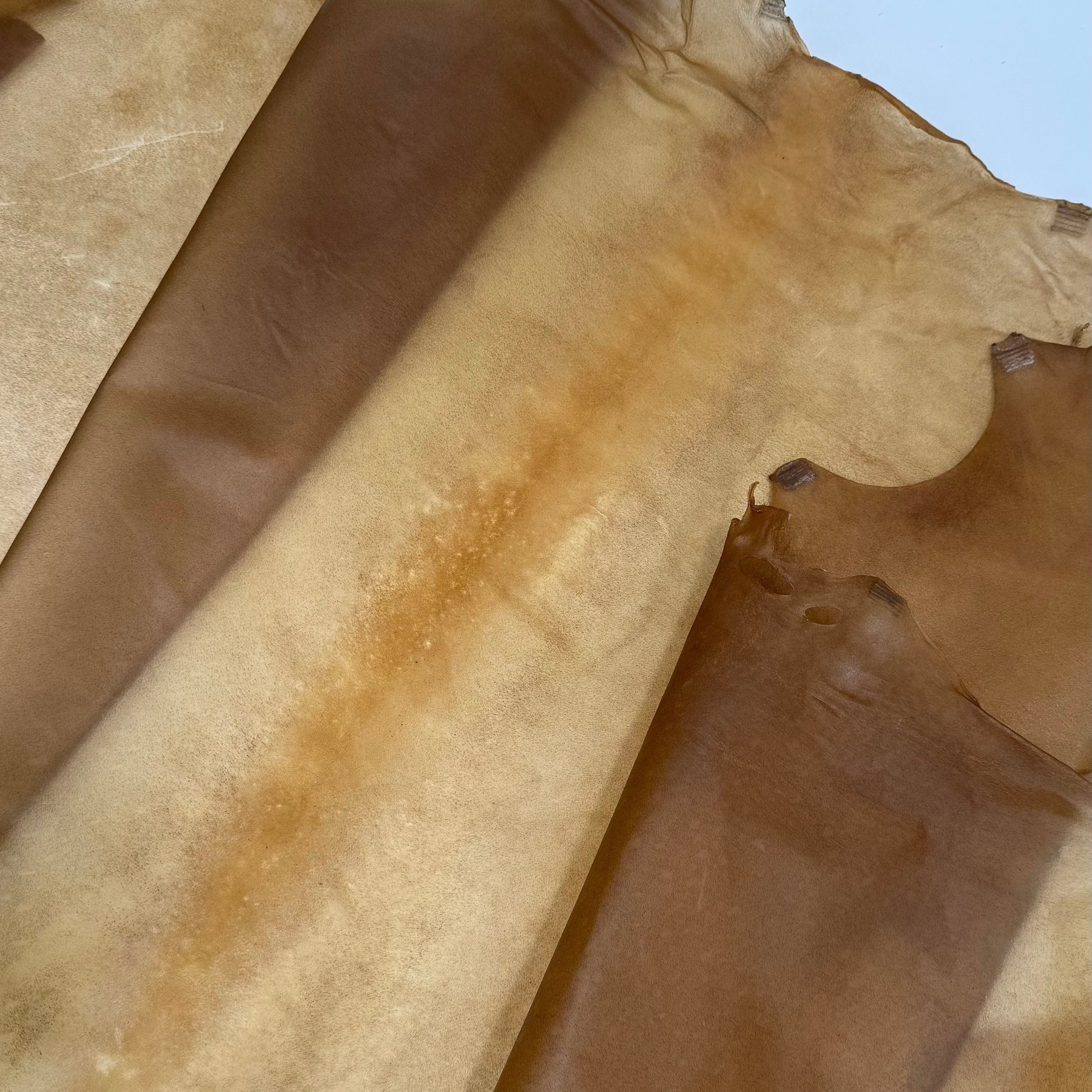 Italian Transparent Horse Leather | ONLY 10 HIDES LEFT!