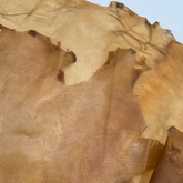 Transparent Horse Leather | Ships June 15
