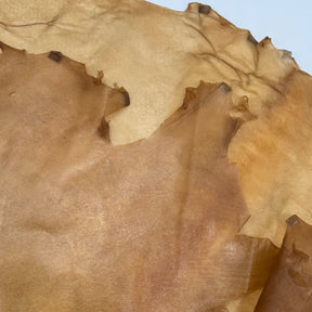 Italian Transparent Horse Leather | ONLY 10 HIDES LEFT!