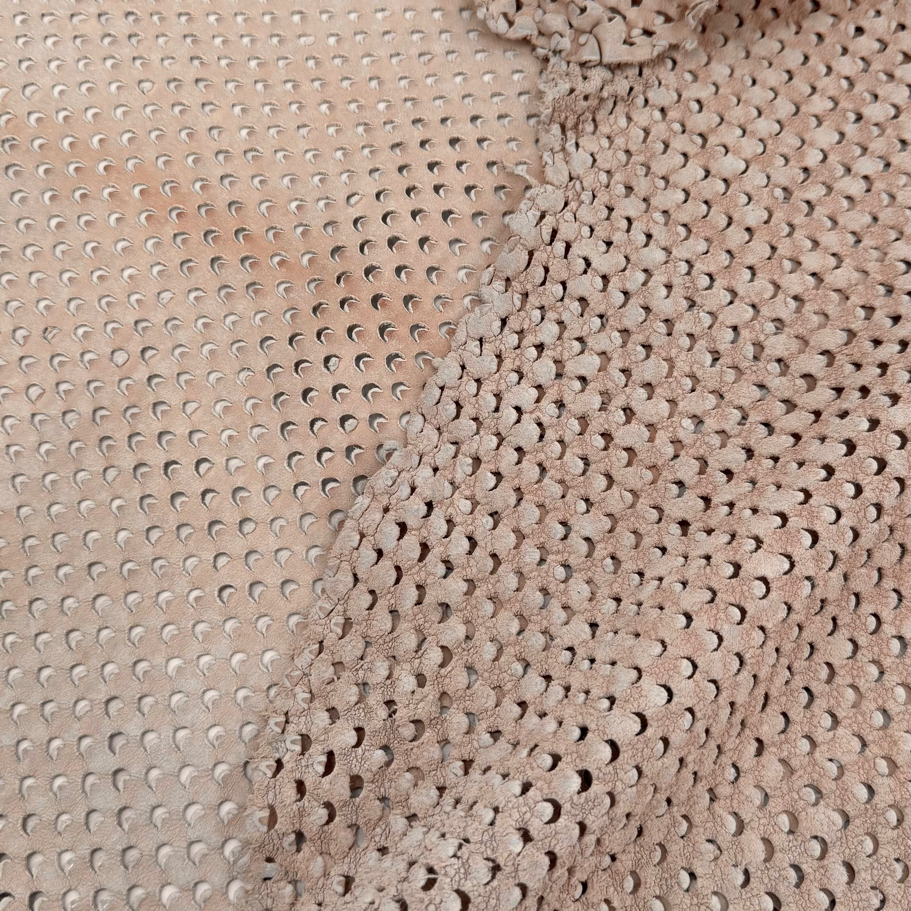 Eyelet Perforated Lamb | Light Blush