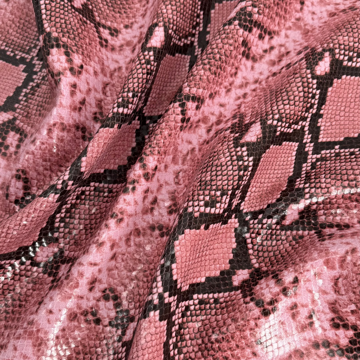 Python Embossed Goat
