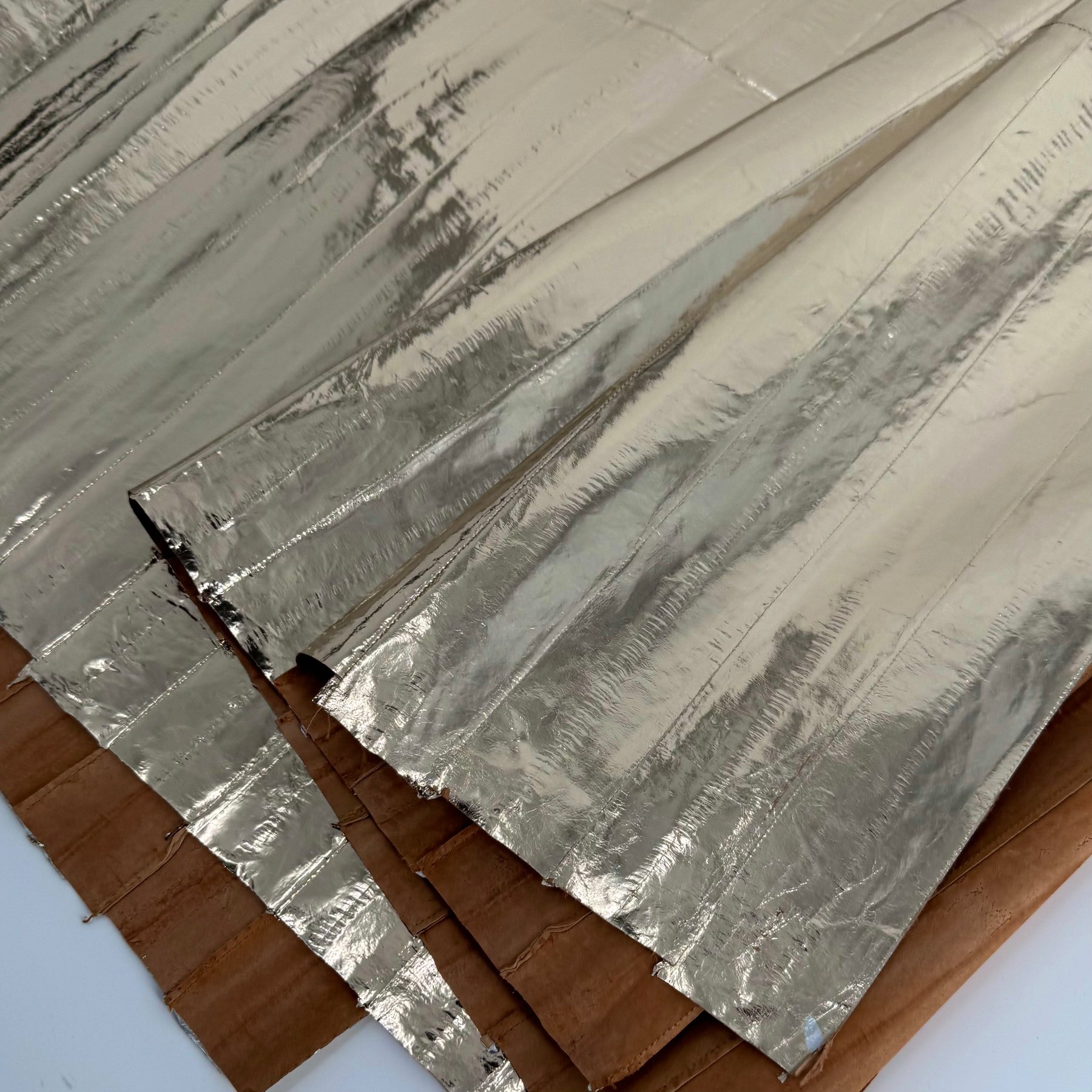Champagne Gold Metallic Eel Skin | SALE | 50% OFF