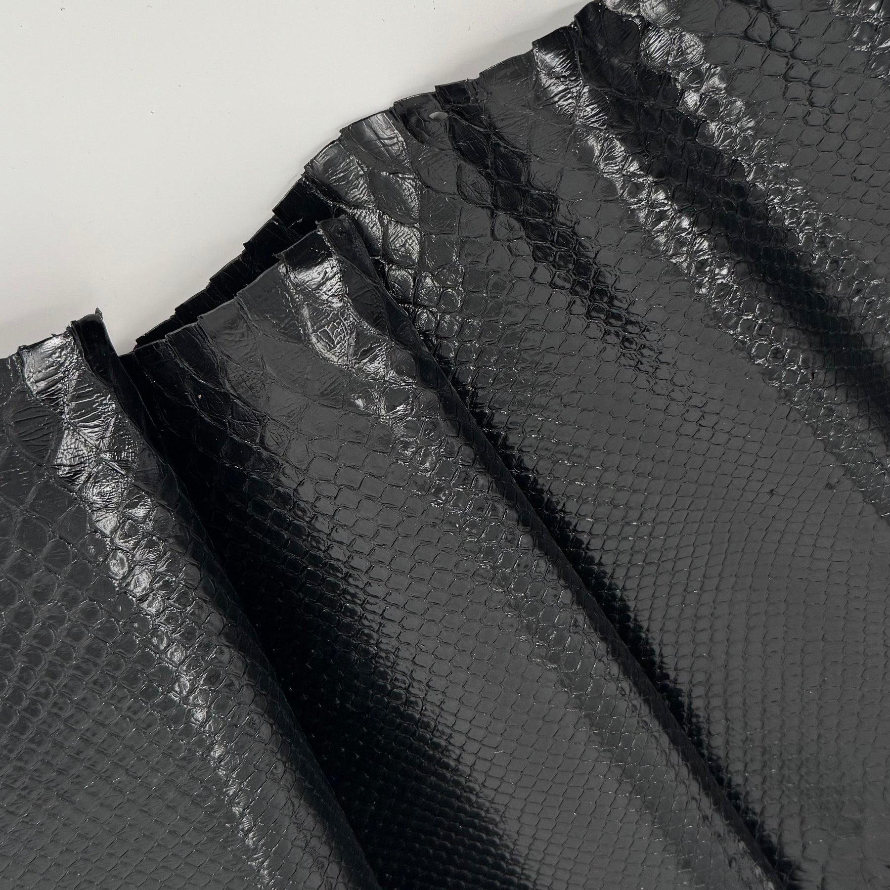 Glazed Black Python Back Cut | SALE