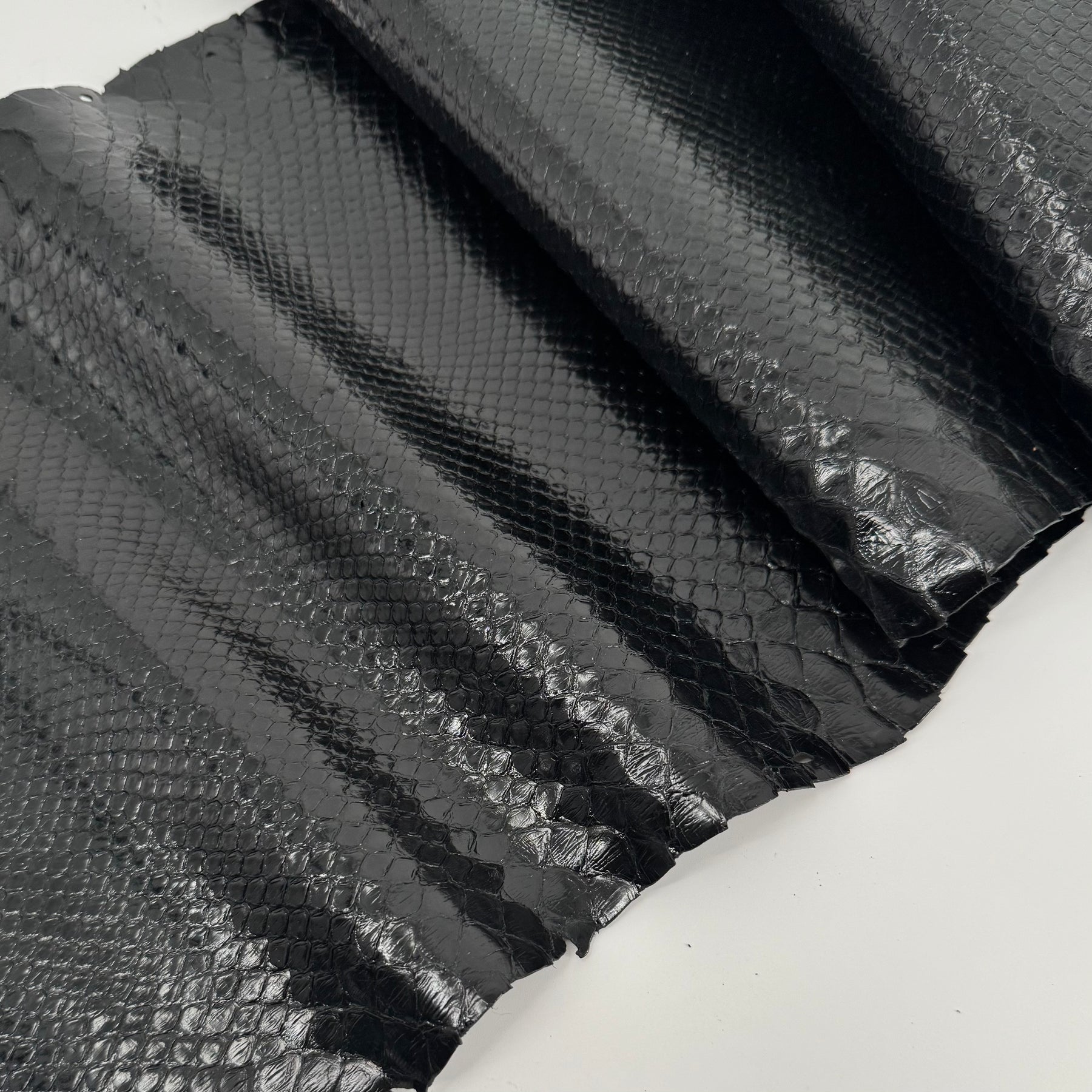 Glazed Black Python Back Cut | SALE