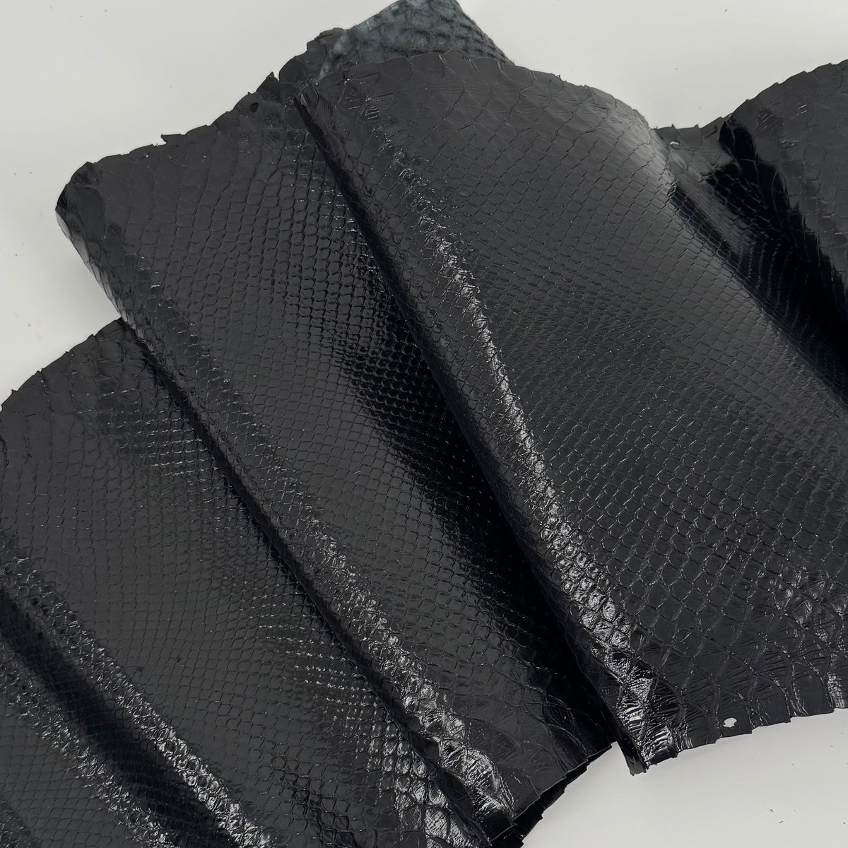 Glazed Black Python Back Cut | SALE