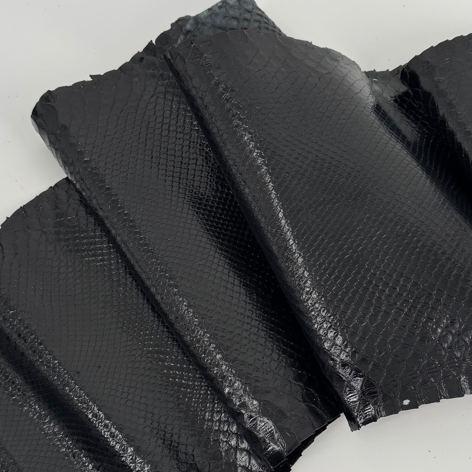 Glazed Black Python Back Cut | SALE