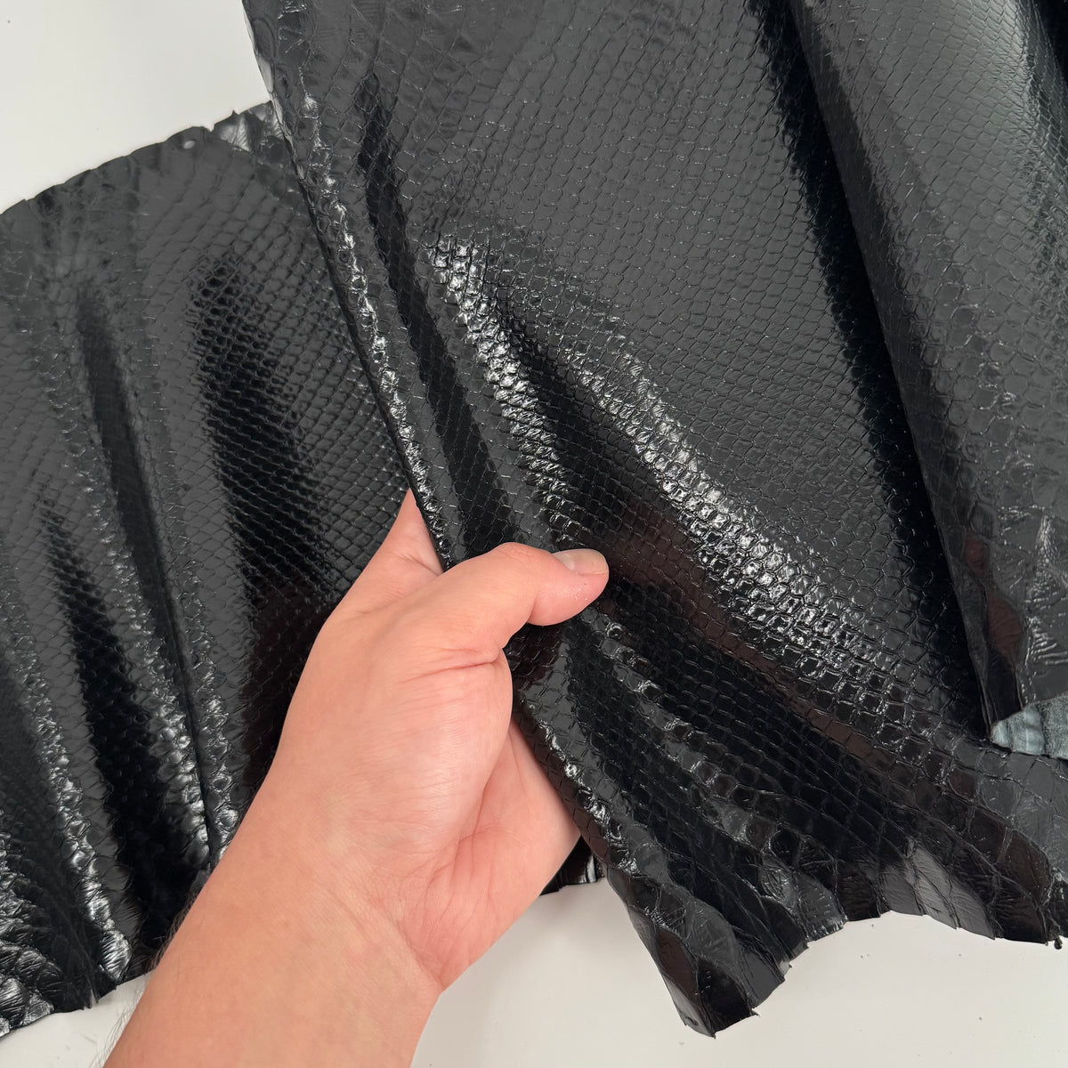 Glazed Black Python Back Cut | SALE