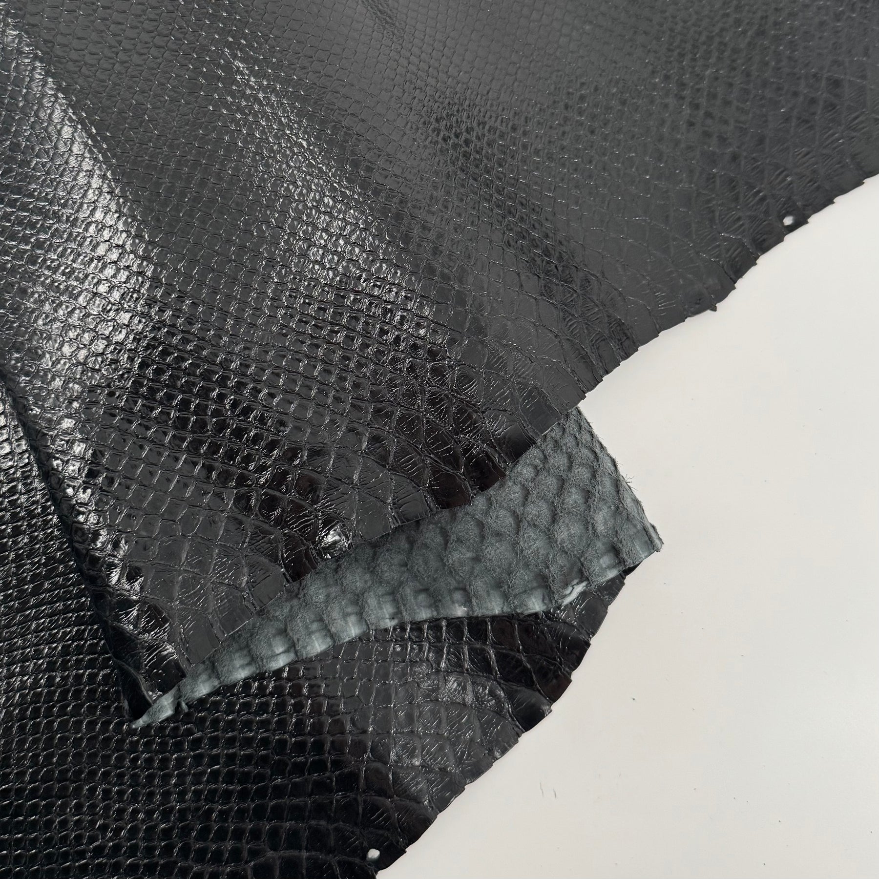 Glazed Black Python Back Cut | SALE
