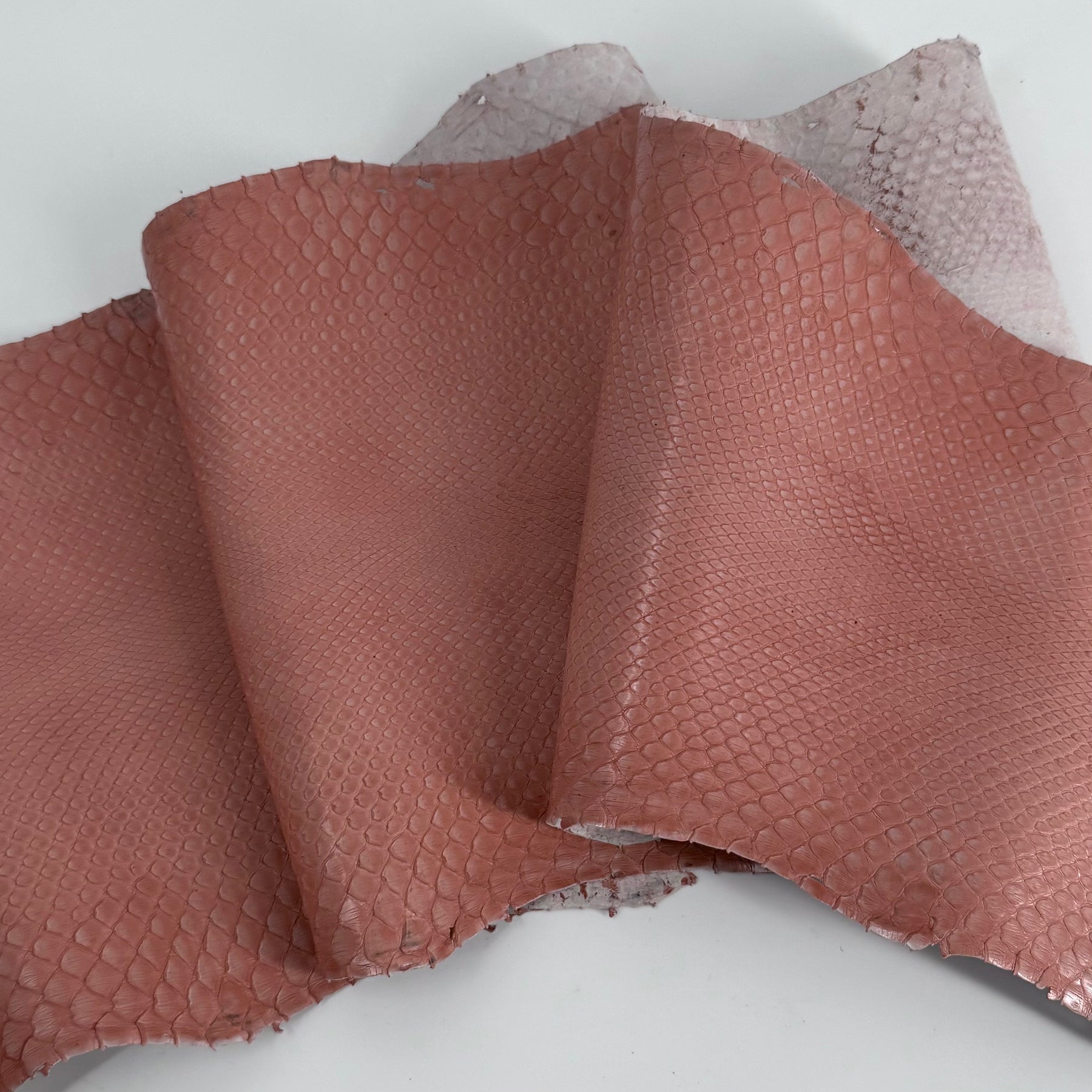 Glazed Peachy Salmon Python Back Cut | SALE