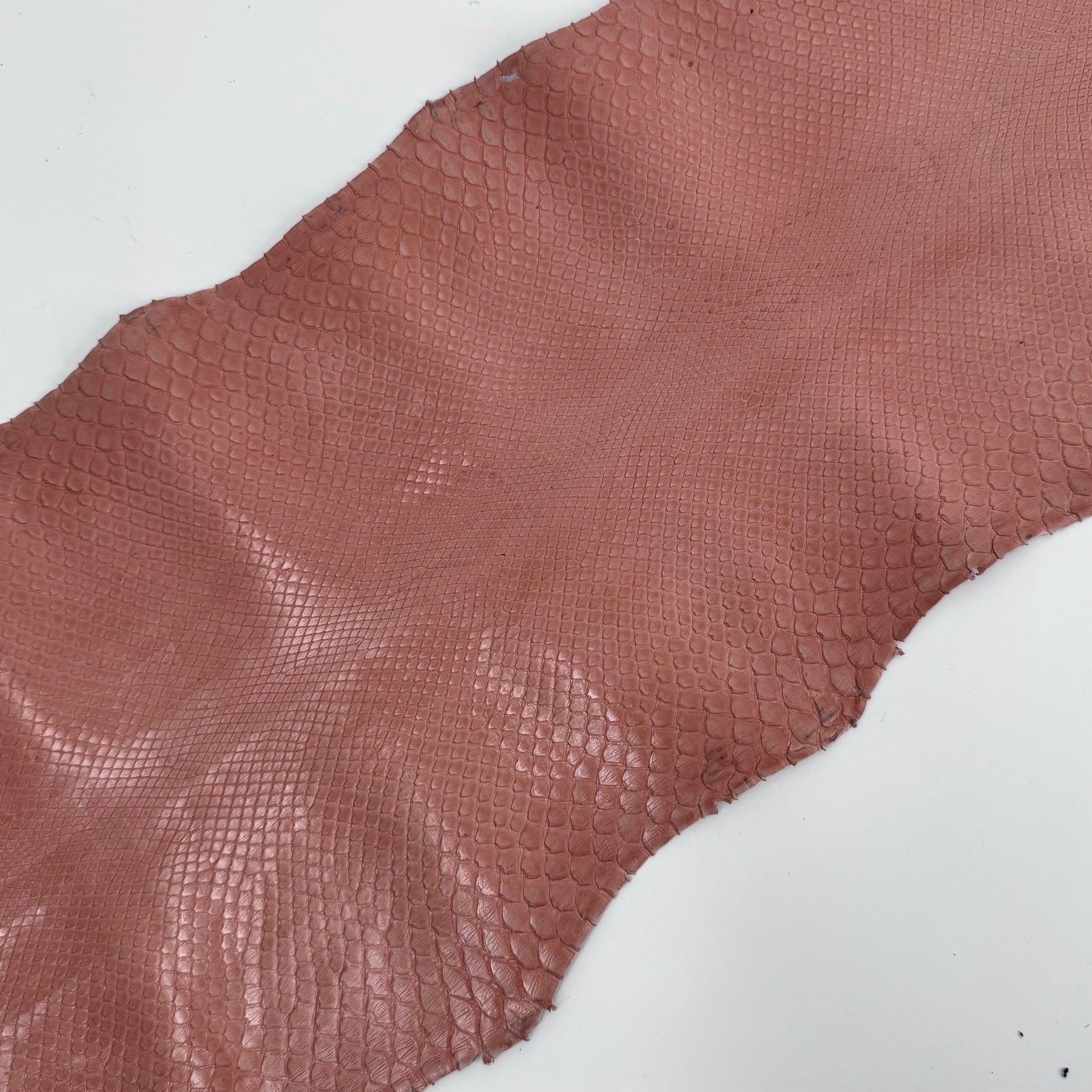 Glazed Peachy Salmon Python Back Cut | SALE