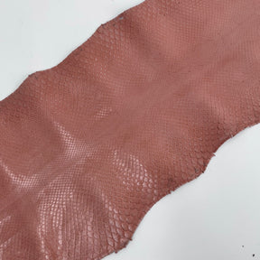 Glazed Peachy Salmon Python Back Cut | SALE