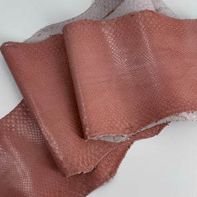 Glazed Peachy Salmon Python Back Cut | SALE