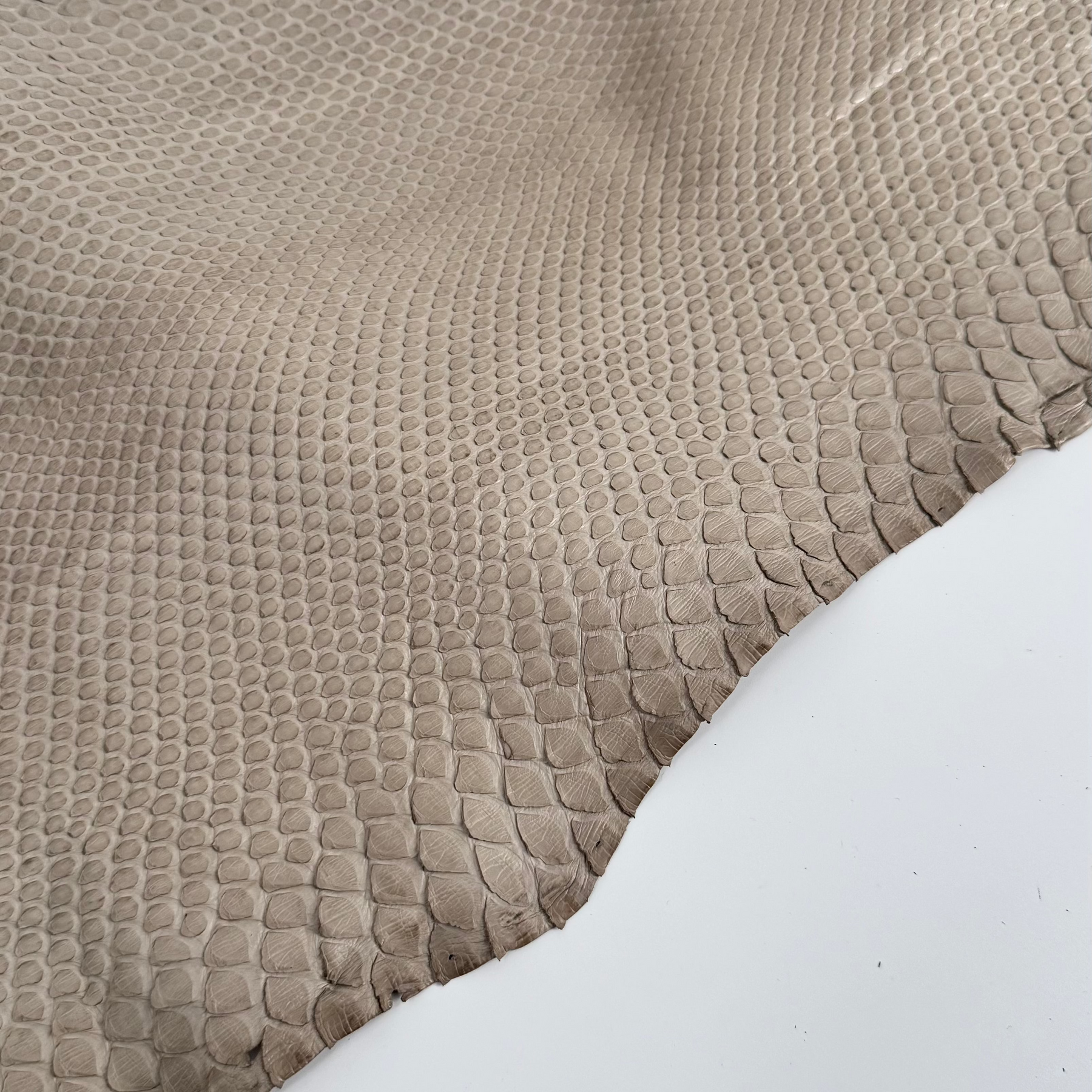 Semi-Shiny Stone Python Back Cut | SALE