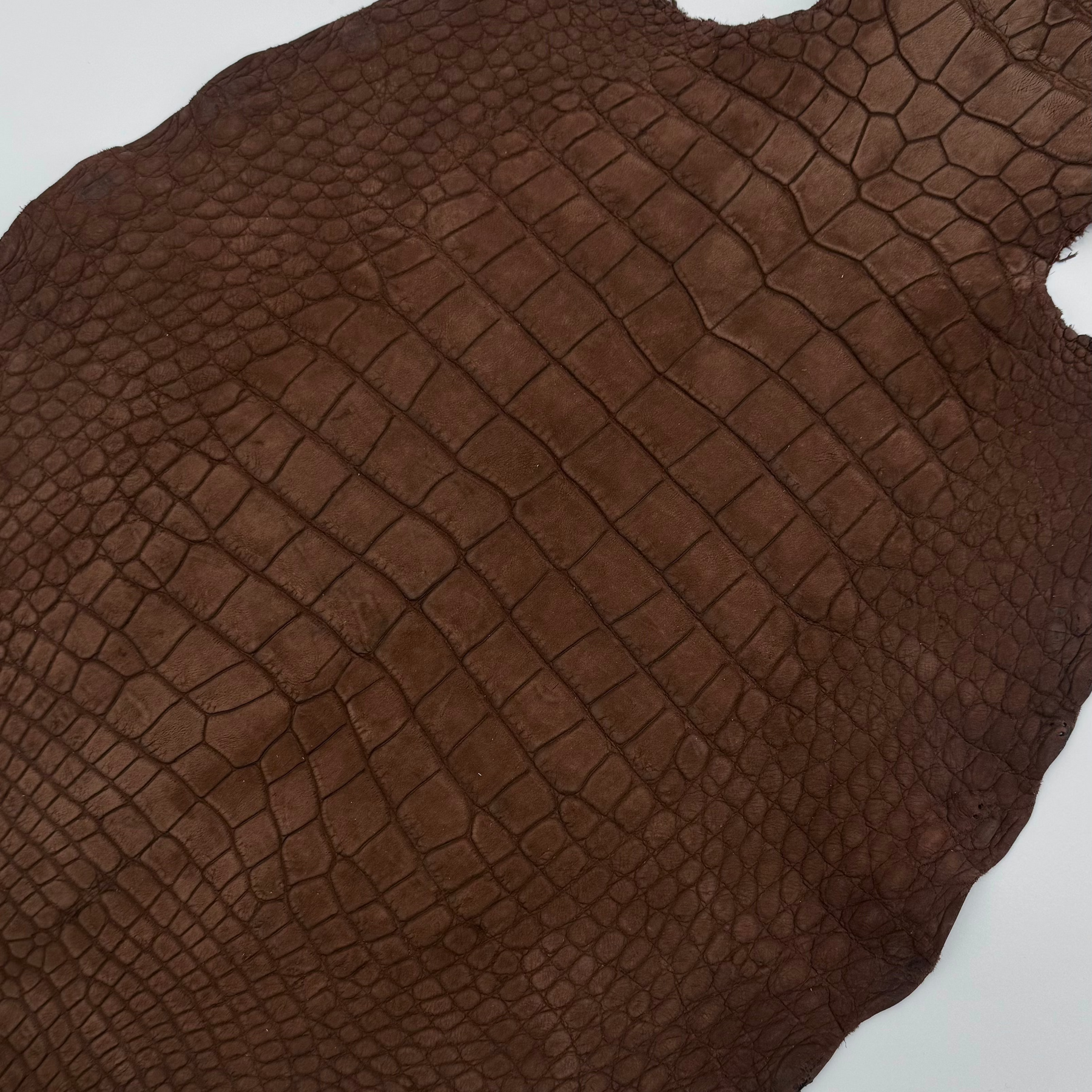 Nubuck Wild American Alligator Cognac | 39 cm | SALE