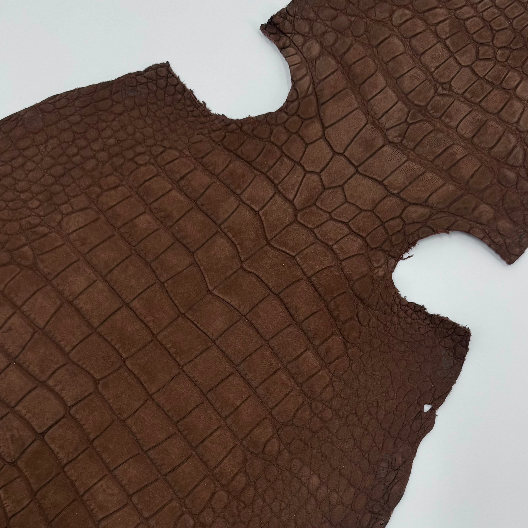 Nubuck Wild American Alligator Cognac | 39 cm | SALE