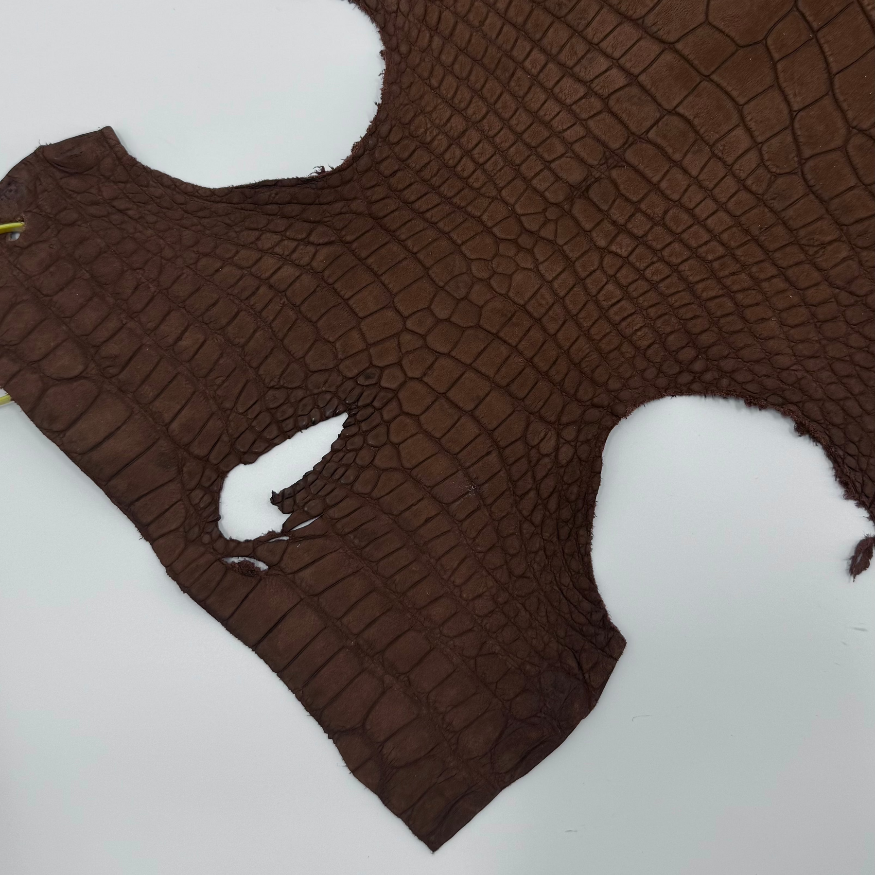 Nubuck Wild American Alligator Cognac | 39 cm | SALE
