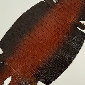 Glazed Whiskey Wild American Alligator | 32 cm