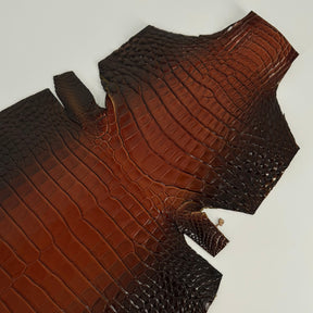 Glazed Whiskey Wild American Alligator | 32 cm