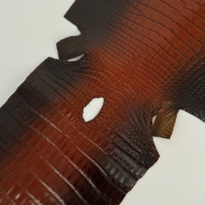 Glazed Whiskey Wild American Alligator | 32 cm