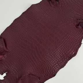Bordeaux Wild American Alligator | 33 cm