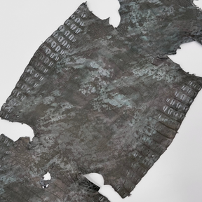 Green Fury Caiman Crocodile | SALE