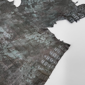 Green Fury Caiman Crocodile | SALE