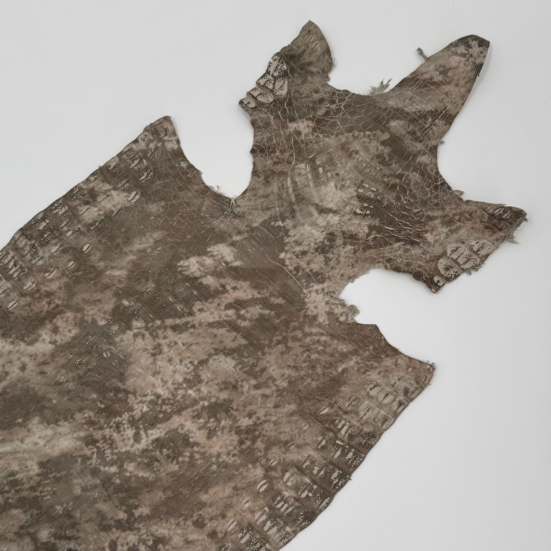 Khaki Camo Caiman Crocodile | SALE