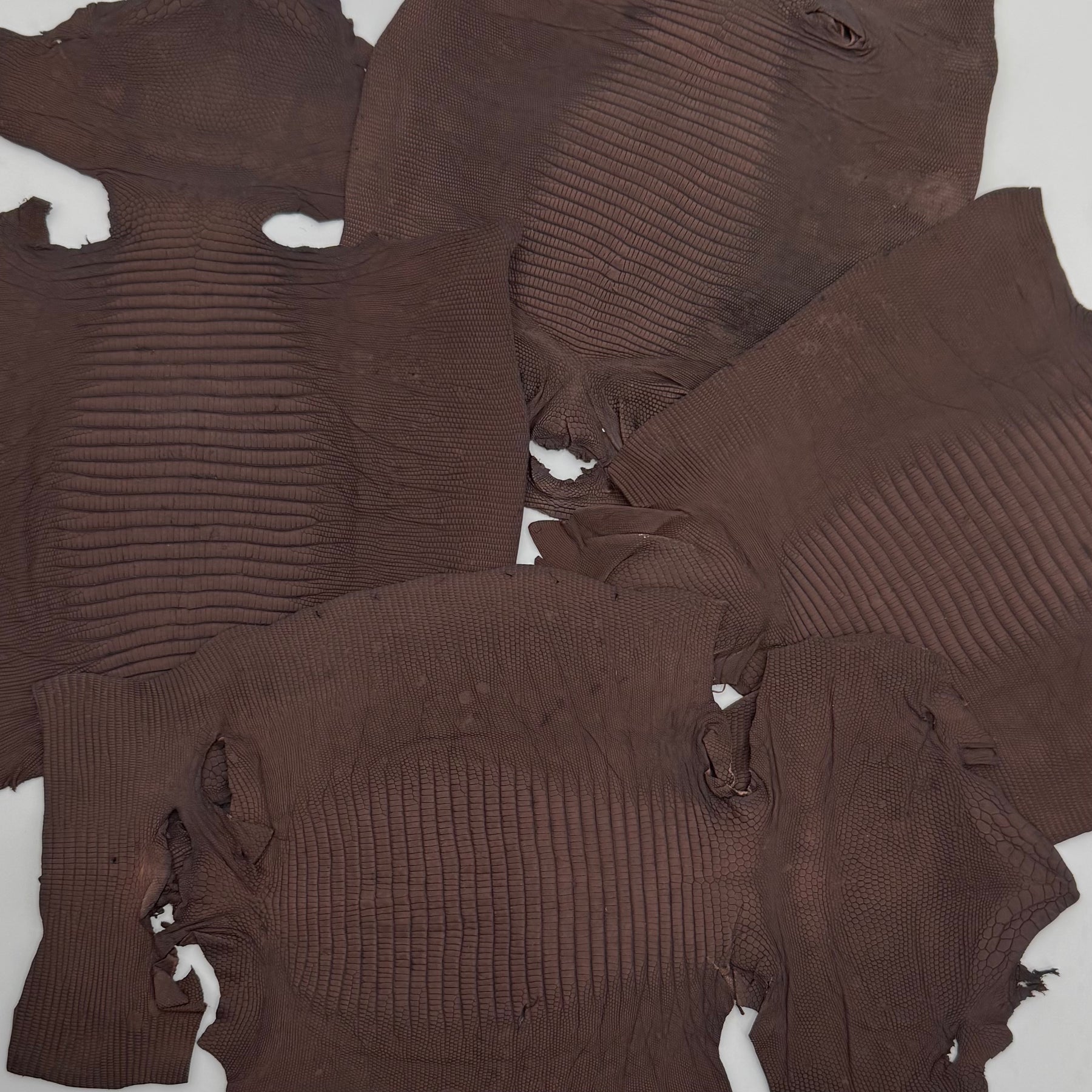 Dark Brown Lizard Skin Grade 2 | Bundle of 4 | SALE