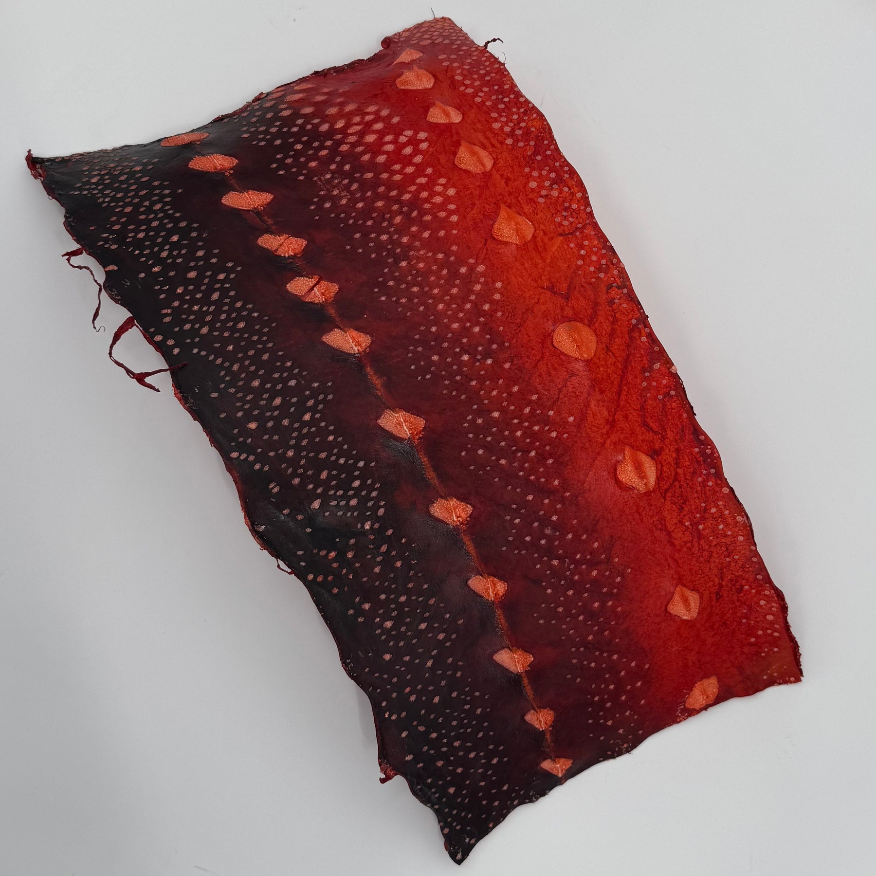 Transparent Sturgeon Plates | One-Of-A-Kind