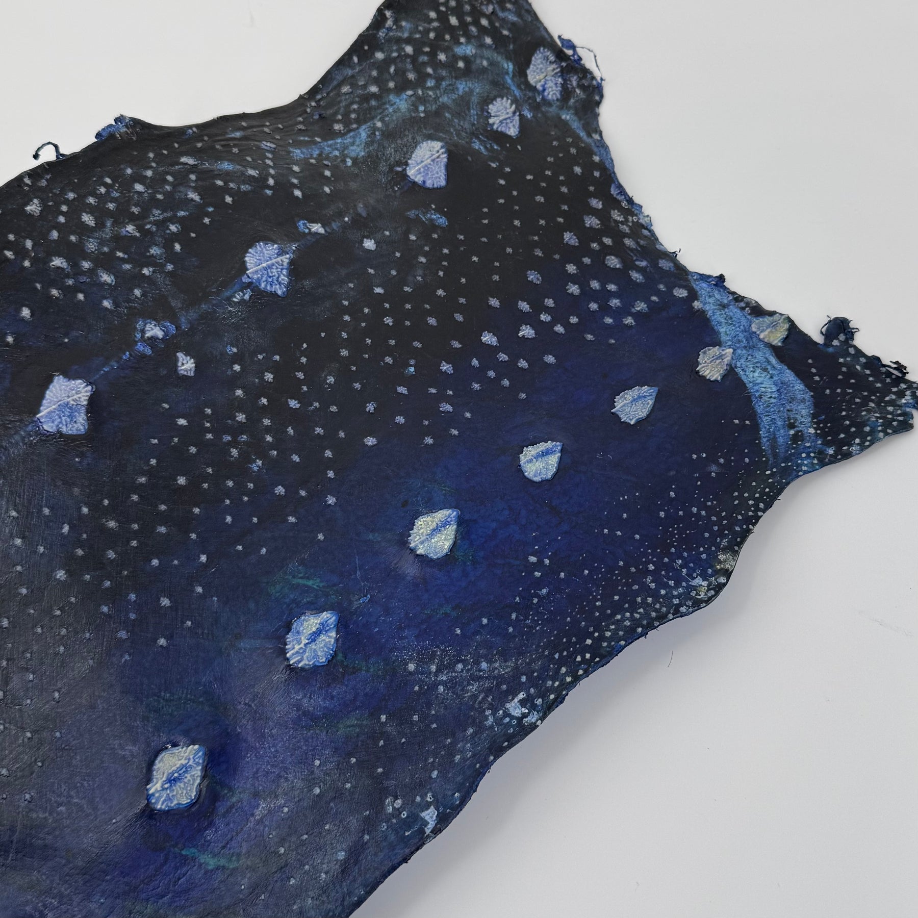 Transparent Sturgeon Plates | One-Of-A-Kind