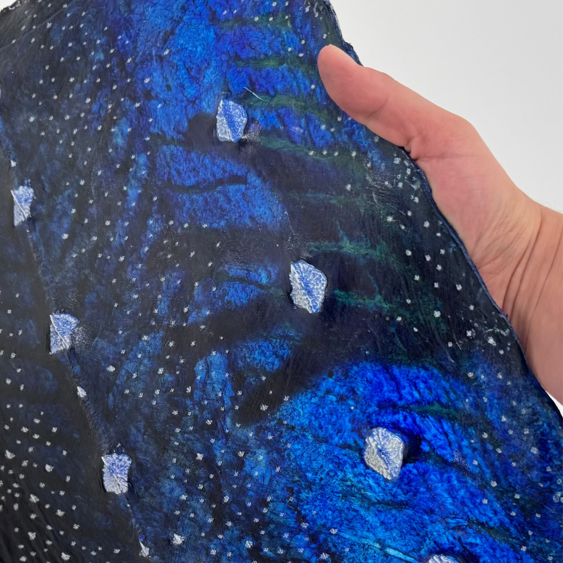 Transparent Sturgeon Plates | One-Of-A-Kind