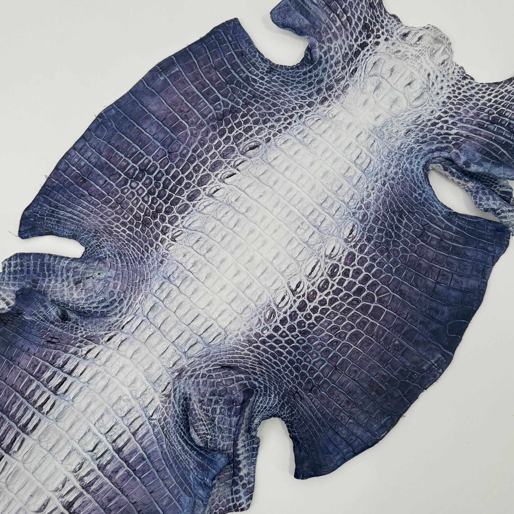 Hornback Crocodile Dyed in New York City | Only 1 available!