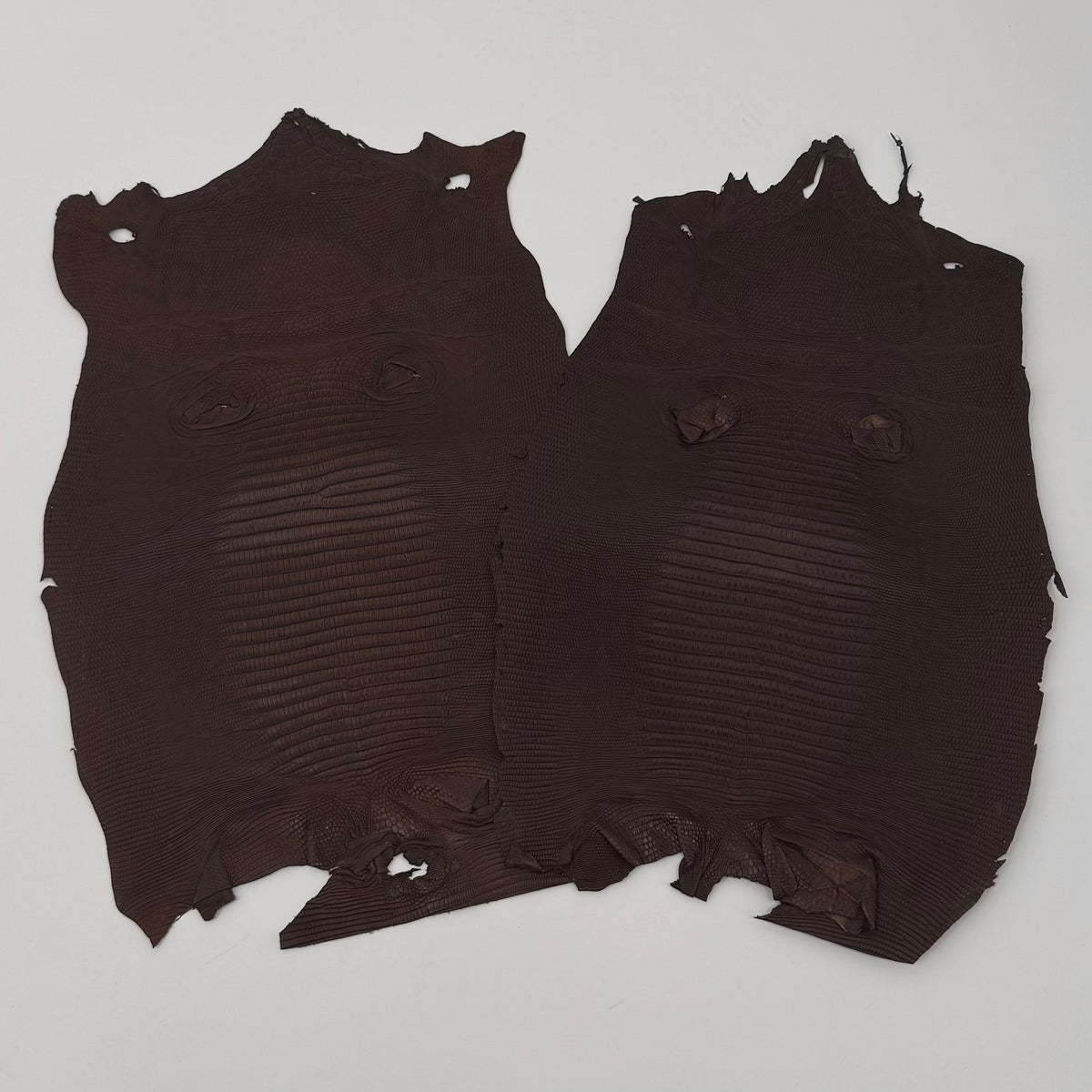 Brown Lizard Skin | Bundle of 2 - B#2 | SALE