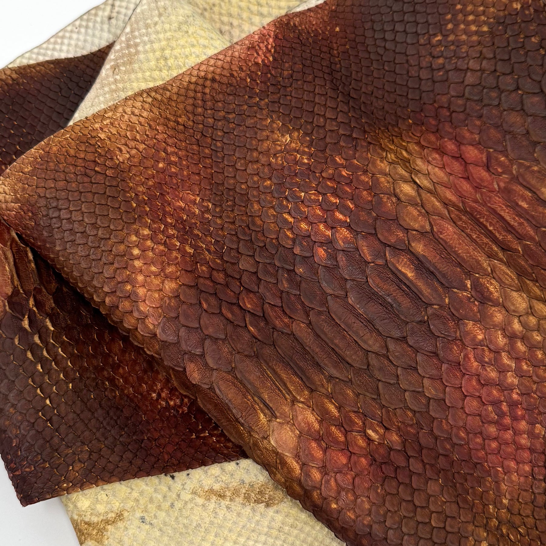 Autumn Leaf Short Tail Python | SALE | LAST 2 HIDES!
