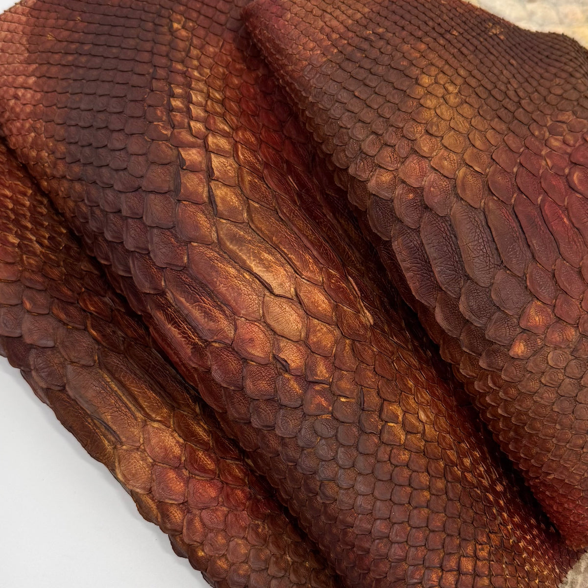Autumn Leaf Short Tail Python | SALE | LAST 2 HIDES!